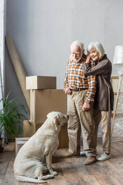 Full Length Cheerful Senior Couple Looking Dog Cardboard Boxes Background — Stock Photo, Image