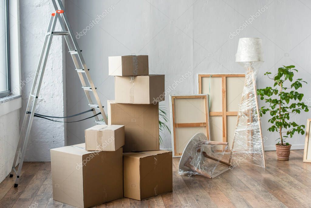 Cardboard boxes, frames, ladder, lamp and plant in empty room, moving concept