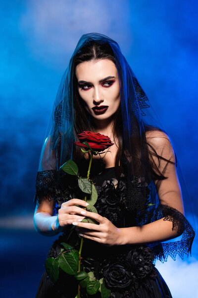 bride in black dress and veil holding red rose on blue with smoke, halloween concept