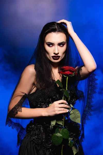 Bride in black dress holding red rose and touching veil on blue with smoke, halloween concept — Stock Image Bride Black Dress Holding Red Rose Touching Veil Blue Smoke Stock Picture