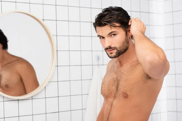 Tişörtsüz Adam Banyoda Islak Saçlara Dokunurken Kameraya Bakıyor — Stok fotoğraf