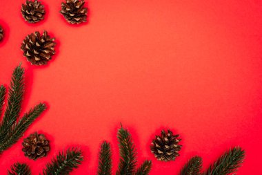 top view of cones, spruce branches on red background clipart