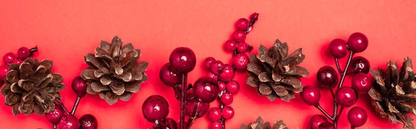 Top View Cones Berries Red Background Banner — Stock Photo, Image