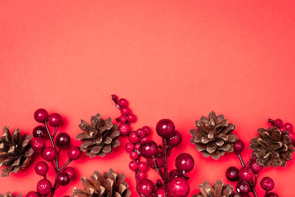 Top View Cones Berries Red Background — Stock Photo, Image