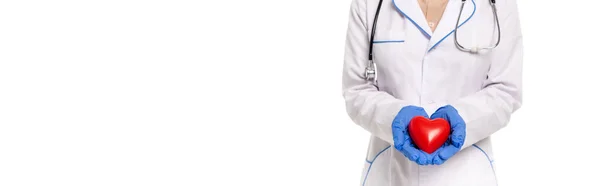白い上に隔離された心を保持するラテックス手袋の医師のウェブサイトのヘッダー — ストック写真