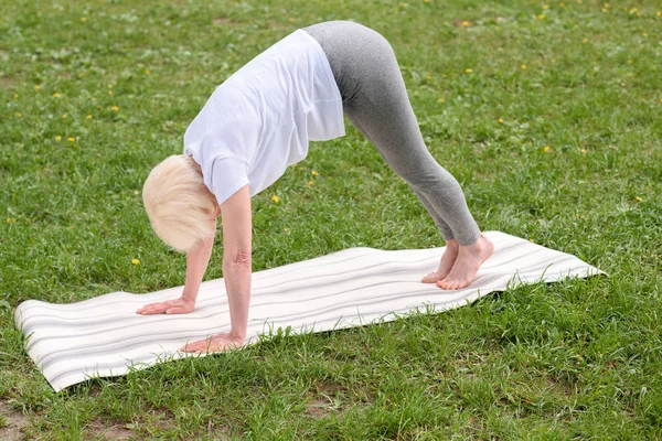 Літня жінка вниз обличчям до собаки позує практикує йогу на килимку на газоні — стокове фото