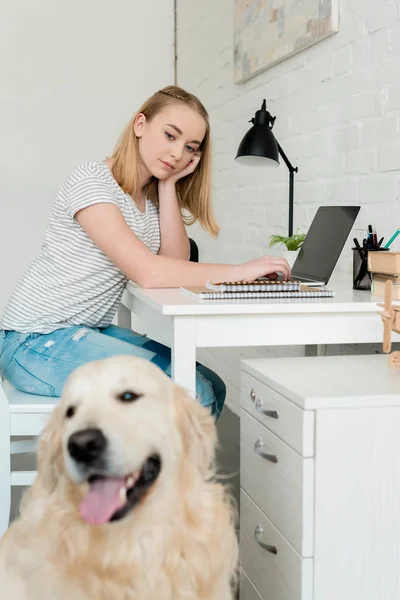 Pensativo adolescente estudante menina fazendo lição de casa com seu golden retriever em primeiro plano — Fotografia de Stock