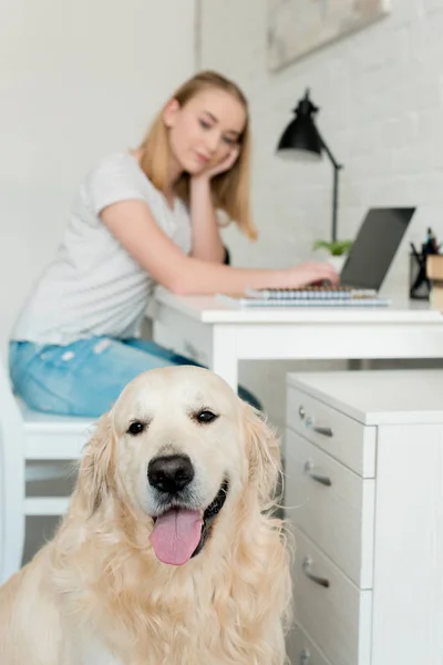 Adolescente estudiante chica haciendo tarea con su golden retriever en primer plano - foto de stock