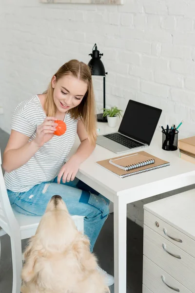 Adolescente estudiante chica jugando con su perro mientras sentado en el lugar de trabajo - foto de stock