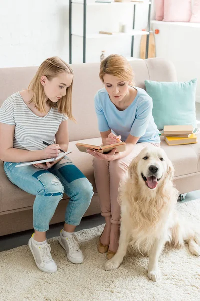 Madre y adolescente hija haciendo tarea juntos mientras su perro sentado en el suelo - foto de stock