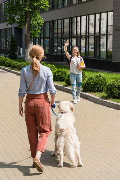 Hija saludando a la madre mientras ella pasea con el perro en la calle - foto de stock