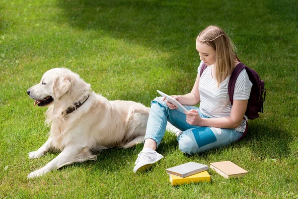 Adolescente estudiante chica usando tableta mientras sentado en hierba con su perro - foto de stock