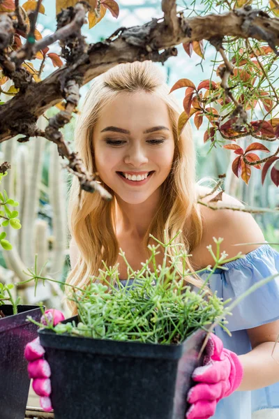 Bela jovem sorridente em luvas de borracha rosa segurando pote com plantas verdes — Fotografia de Stock