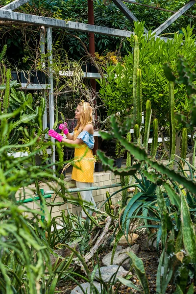 Side view of young female gardener working with plants in greenhouse — Stock Photo