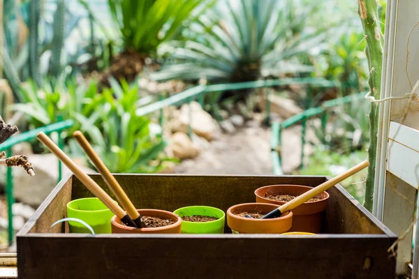 Vue rapprochée de la boîte avec pots de fleurs, terre et outils de jardinage en serre — Photo de stock