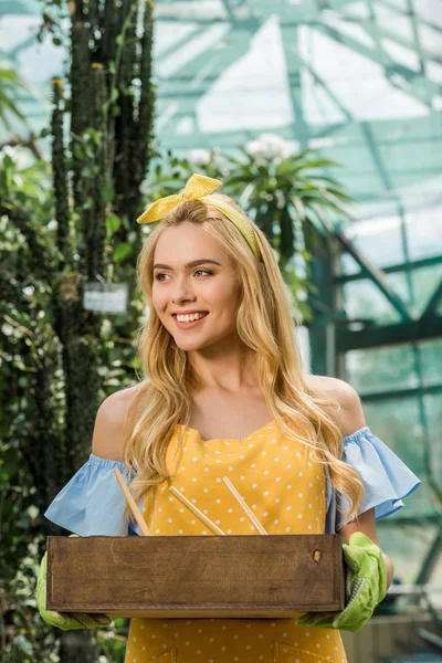 Hermosa mujer joven sonriente sosteniendo caja con herramientas de jardinería y mirando hacia otro lado en invernadero - foto de stock