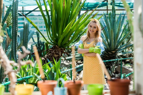 Linda menina loira em luvas de borracha de pé com braços cruzados e sorrindo para a câmera em estufa — Fotografia de Stock