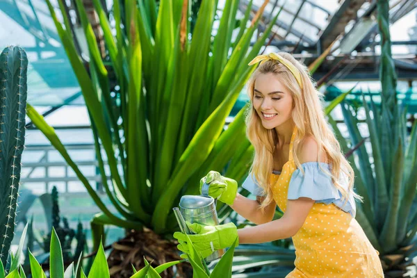 Красива усміхнена молода жінка в гумових рукавичках поливає рослини в теплиці — стокове фото