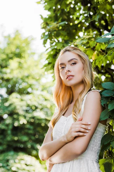 Low angle view of beautiful young woman standing with crossed arms and looking at camera — Stock Photo