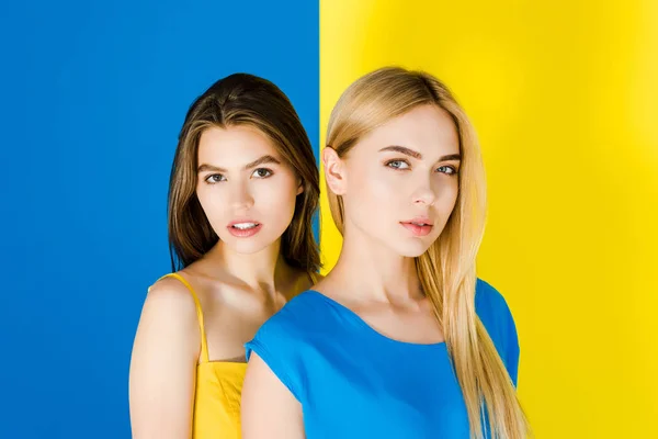 Красива брюнетка і біляві дівчата дивляться на камеру ізольовані на синьо-жовтому тлі — стокове фото