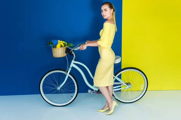 Elegant blonde woman posing by bicycle with flowers in basket on blue and yellow background — Stock Photo