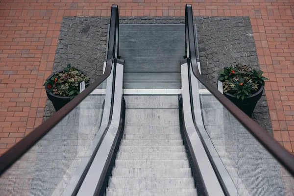 Hochwinkelblick auf graue Rolltreppe mit Treppen und Topfpflanzen auf dem Boden — Stockfoto