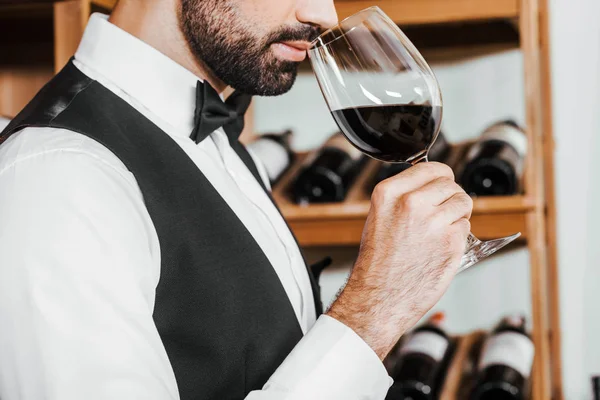 Обрізаний знімок сомельє, що вивчає аромат вина зі скла у винному магазині — стокове фото