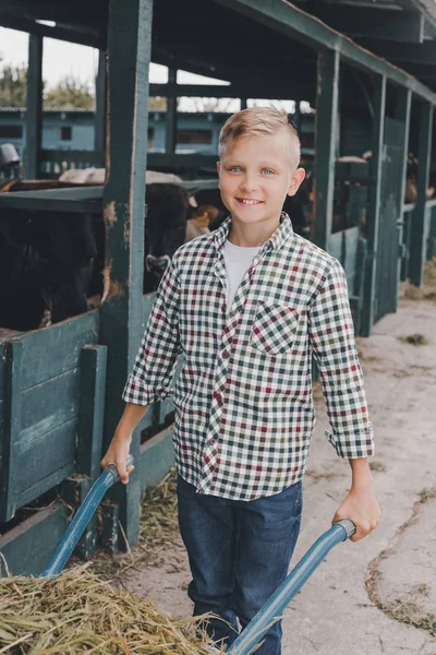 Мальчик толкает тачку с травой и улыбается перед камерой в коровнике — стоковое фото