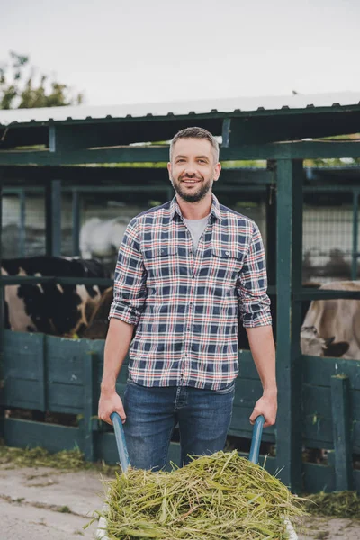 Agricultor sosteniendo carretilla con hierba y sonriendo a la cámara mientras trabaja en el establo - foto de stock