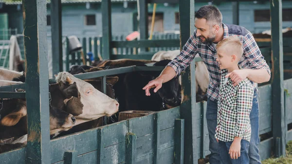 Side view of happy father and son in checkered shirts looking at cows in stall — Stock Photo