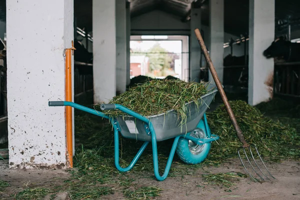 Schubkarre mit Gras und Mistgabeln im Stall auf Bauernhof — Stockfoto