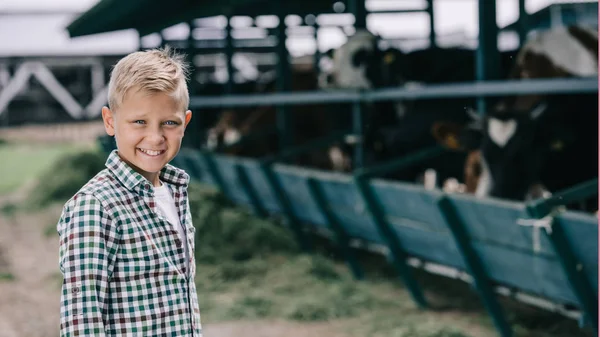Niño con camisa a cuadros sonriendo a la cámara mientras está de pie en el rancho con vacas - foto de stock