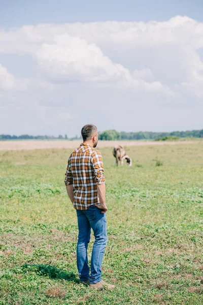 Vista posterior del agricultor adulto medio con camisa a cuadros de pie y mirando el campo - foto de stock