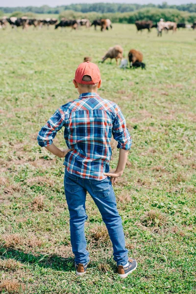 Rückansicht eines Jungen im karierten Hemd, der steht und Kühe sieht, die auf dem Feld grasen — Stockfoto