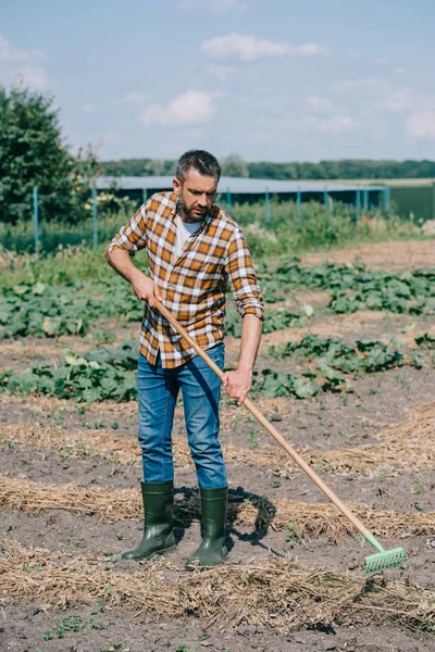 Farmer in checkered shirt and rubber boots holding rake and working in field — Stock Photo