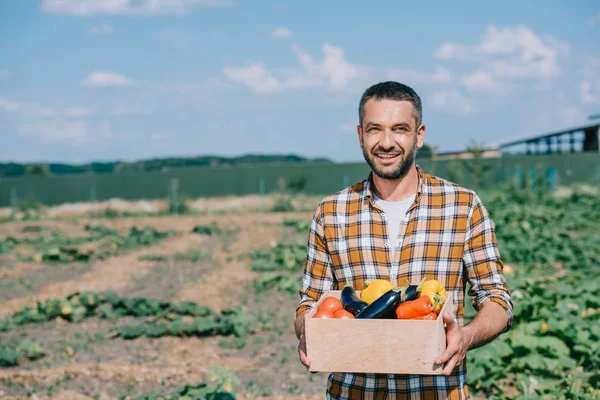 Feliz granjero guapo sosteniendo caja con verduras frescas maduras y sonriendo a la cámara - foto de stock