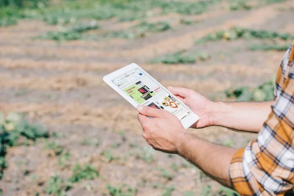 Plan recadré de fermier en utilisant une tablette numérique avec site Web ebay tout en se tenant sur le terrain — Photo de stock