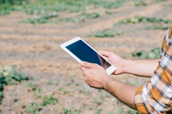 Tiro cortado do agricultor usando tablet digital com tela em branco, enquanto em pé no campo — Fotografia de Stock