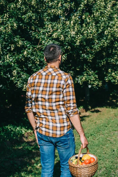 Rückansicht eines Bauern im karierten Hemd, der einen Korb mit frischem reifem Gemüse in der Hand hält — Stockfoto