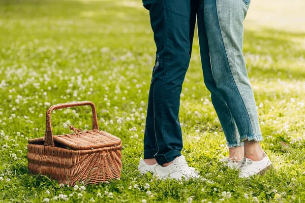 Low section of young couple standing near picnic basket in park — Stock Photo