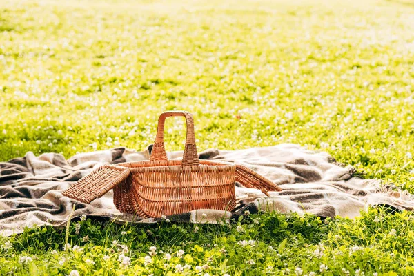 Vista da vicino del cestino da picnic e plaid sul prato verde nel parco — Foto stock