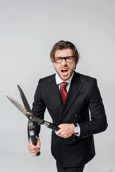 Porträt eines wütenden Geschäftsmannes im schwarzen Anzug mit Clipper in den Händen isoliert auf grau — Stockfoto