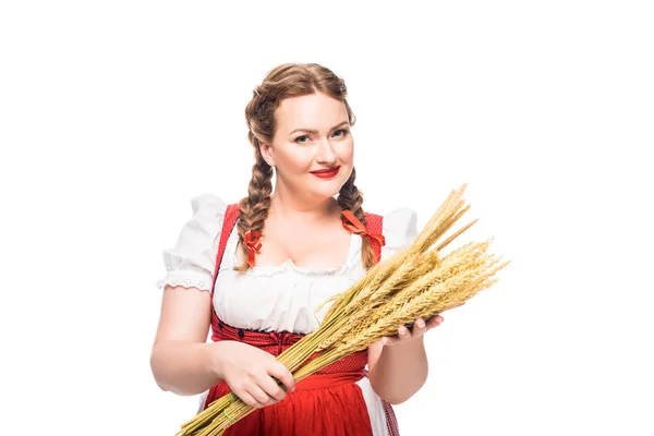 Smiling oktoberfest waitress in traditional bavarian dress holding wheat ears isolated on white background — Stock Photo