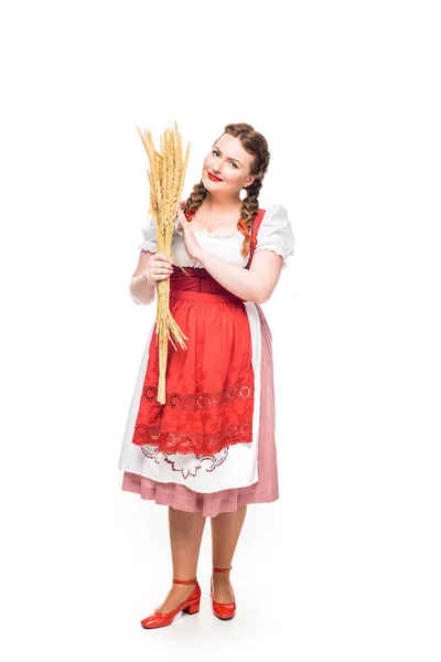Atractiva camarera oktoberfest en vestido bavariano tradicional sosteniendo trigo aislado sobre fondo blanco - foto de stock