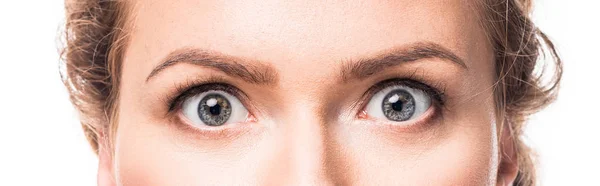 Olhos femininos cinza chocado olhando para a câmera, isolado em branco — Fotografia de Stock