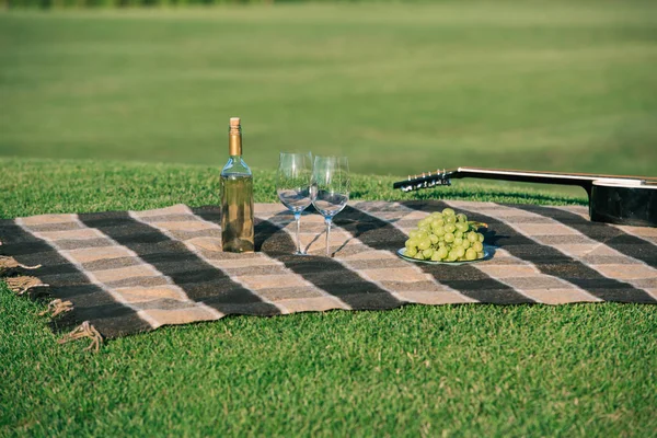 Picnic con bottiglia di vino bianco, uva e chitarra acustica su coperta sul prato — Foto stock
