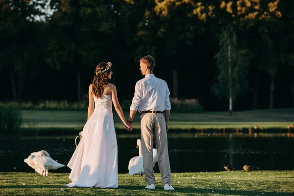 Rückansicht eines jungen Hochzeitspaares, das Händchen haltend auf grünem Gras am See mit schönen Schwänen steht — Stockfoto