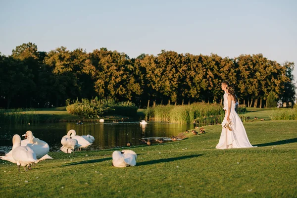 Junges Hochzeitspaar steht am See und betrachtet schöne Schwäne — Stockfoto