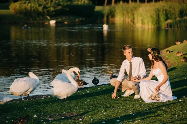 Glückliches junges Hochzeitspaar füttert Schwäne und lächelt sich im Park an — Stockfoto