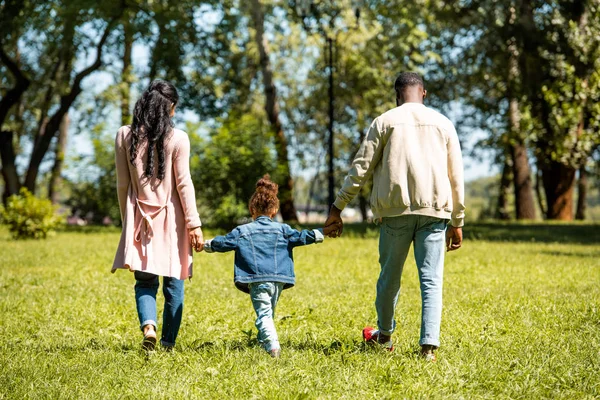 Вид сзади на африканских родителей и дочь, держащихся за руки и гуляющих по траве в парке — стоковое фото